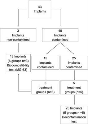 Comparison of Different Chemical and Mechanical Modalities for Implant Surface Decontamination: Activity against Biofilm and Influence on Cellular Regrowth—An In Vitro Study